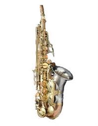 Image result for Commelina saxosa