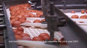 The company started its operation in 1988. Eggspert Henritex Food Sdn Bhd Facebook