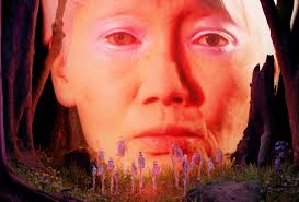 Outdoor Screen: The Mother of All Data