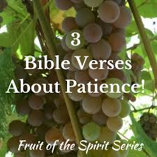 Check spelling or type a new query. 3 Bible Verses About Patience Miraculous Lovely