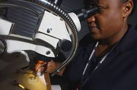 Miss Tondra Harris, Public Health Technician with the Entomology Laboratory  at Langley Air Force Base (AFB),