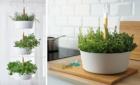 A set of three costs $40. Indoor Garden Idea Hang Your Plants From The Ceiling Walls