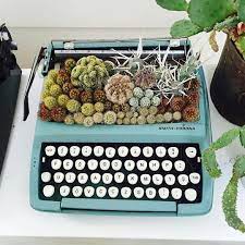 Over 75,000 flea market vendors use swap meet magazine to find wholesale merchandise to resell at their booths. Pictures Of House Plant Cactus Popsugar Home Cactus House Plants Cactus Plants House Plants