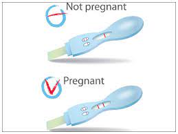 Can I Do Pregnancy Test 12 Days After Sex Boldsky Com