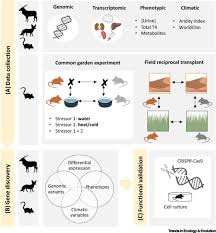 Based on this example, explain why evolution by natural selection can only occur if the variation in a trait is heritable. Life In Deserts The Genetic Basis Of Mammalian Desert Adaptation Sciencedirect
