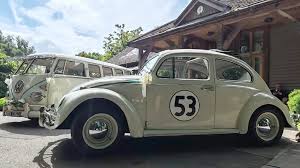 Image result for Pearl Gray 1951 Beetle