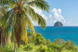 Although each has its own unique character, they all offer a delightful french flavor and joie de vivre. Best Things To Do In Martinique French Antilles France Bucket List