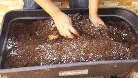 Diy potting soil is easy, and saves money. Best Container Garden Gifs Gfycat