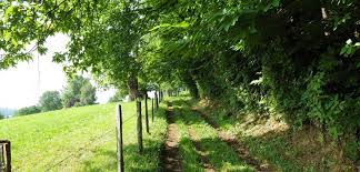 Sentiers de balades - Ville de Rumilly