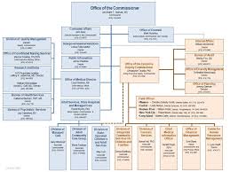 New York State Office Of Mental Health Organization Chart