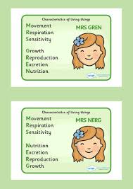 Mrs Gren And Nerg Life Processes Display Poster Ks2 Science Science Homework Biology Lessons