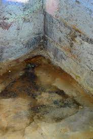 Depending on the extent and severity of the problem, and the type of mold, you may need to explore options for professional mold removal. Basement Mold The Hidden Danger