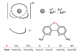 Host-guest complexes of a cryptand based