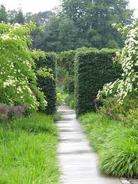 Pin By Paul Richards On Garden Inspirations Garden Inspiration Ornamental Grasses Garden Landscaping