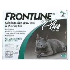 Dry your cat with a towel and follow up with the use of a flea comb to remove any dead fleas. Frontline Plus For Cats Flea And Tick Medicine Cat Feline 3 Month Supply Kitten Cat My Love