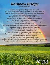 This poem is very straightforward and unvarnished, as straightforward as our relationship with our cat. Crossing The Rainbow Bridge Guideposts