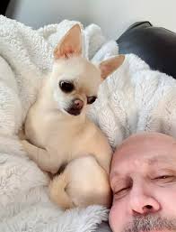 Rosie caring for her daddy after triple bypass surgery