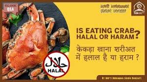 In shiite jurisprudence and the sunni hanafi school, all fishes that are kosher according to jewish strcitures are halal. Question Can Muslims Eat Crab Broadband Phone