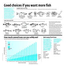 Mercury Rising Which Fish And How Much Is Safe To Eat
