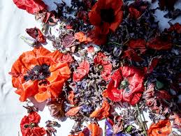 Maybe you would like to learn more about one of these? Floral Imprinting Eyeswoon