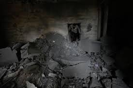 In southern Lebanese city emptied by Israel's offensive, some stay put