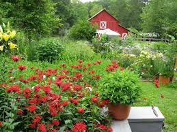 According to some stories, a wash made with the bark of the english dogwood cured dogs with mange, offering a possible explanation. You Re One Essay Away From Owning This North Carolina Flower Farm Bluebird Hill Farm Giveaway