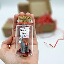 No matter the offense, it's important to apologize for any mistakes you may have made. Amazon Com Apology Gift For Her Or Him I M Sorry Funny Gag Gift For Girlfriend Or Boyfriend Miniature In A Bottle Unique Regretful Toys Games