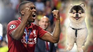 Sep 19, 2019 · find inspiration til et godt hundenavn til din hund med denne liste på 500 populære hundenavne. Daniel Sturridge Fussball Profi Hat Seinen Hund Lucci Wieder