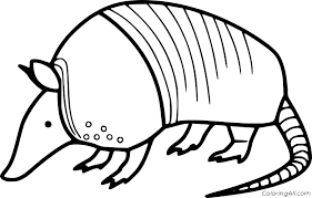 This funny and playful printable armadillo coloring page is a perfect solution for both these situations. Easy Simple Armadillo Coloring Page Coloringall