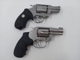 Image result for Grace Silver 1993 Colt