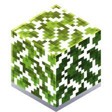 Unimplemented dyed cat hyper rabbit magma cow mossy sheep pink moobloom teacup pig zombie rabbit Oak Leaves Minecraft Earth Wiki Fandom