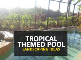 Swimming pools are heavenly during hot australian and new zealand summers and are the perfect way to cool down, relax, entertain friends and even get fit. Five Tropical Themed Pool Landscaping Ideas Olympus Pools Fl