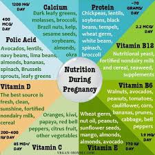 Its Easy To Maintain The Proper Nutrition During Pregnancy