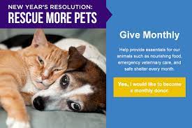 Proven tips from dog experts that has worked for more than 875,000 dog owners worldwide. Spca Of Texas