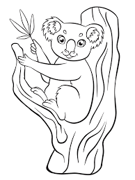 Koala Malvorlage Einfach Coloring And Malvorlagan