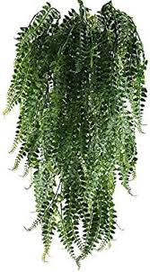 Maybe you would like to learn more about one of these? Xyxcmor Artificial Hanging Ferns 2pcs Boston Fern Hanging Greenery Plastic Fake Plants For Wall Indoor Outdside Hanging B Faux Plants Fake Plants Hanging Ferns