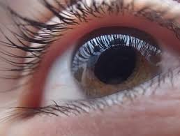 (biib) stock quote, history, news and other vital information to help you with your stock trading biogen inc. Vigeneron Auf Erfolgskurs Nach Biogen Nun Kooperation Mit Daiichi Sankyo Biom