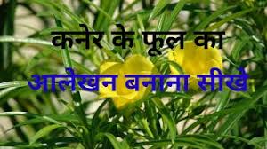 Kaner Ke Phool Ka Alekhan Alekhan For Class 10th Youtube Hello friends, in this video i will be showing you how to draw and paint a beautiful triangle alekhan for kids and others. youtube