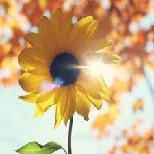 8tracks radio | Morning, sunshine (10 songs) | free and music playlist