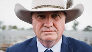 Election 2022: Barnaby Joyce chides teals for removing three gays, one  Aboriginal and an Asian