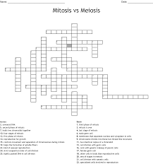 Mitosis meiosis on the table key. Mitosis Vs Meiosis Crossword Wordmint