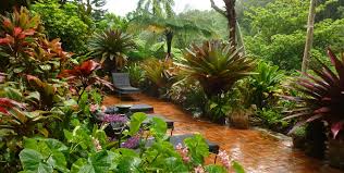Tropical Gardens Of Hawaii With Graham Ross Ross Garden Tours Small Backyard Gardens Tropical Garden Design Tropical Landscaping