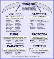 Understanding Pathogens Longevity Health Healing Penang Malaysia Nursing School Notes Nurse Nursing School Tips