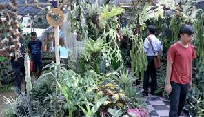Gambar sketsa flora dan fauna. Foto Wow Pameran Flora Dan Fauna 2018 Hijaukan Lapangan Banteng Bisnis Liputan6 Com