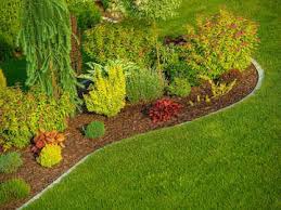 14017 s raintree dr olathe, kansas. Lawn Care Birmingham Al Mighty Green Lawn Care