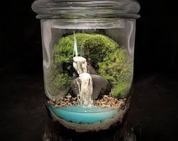 Ocean Terrarium Beach Terrarium Landscape Terrarium Etsy Fairy Garden Beautiful Terrariums Garden Waterfall