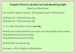 How much raw dog food should a dog eat daily? Diet Nutrition And Weight Kodalihart Labradors