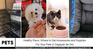 Maybe you would like to learn more about one of these? Healthy Paws Where To Get Accessories And Supplies For Your Pets In Cdo