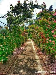 Epingle Par Laf Elisabeth Sur Ailleurs Monastere Cote D Azur Villefranche Sur Mer