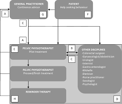 1 Simplified Flow Chart Of Multidisciplinary Relations And